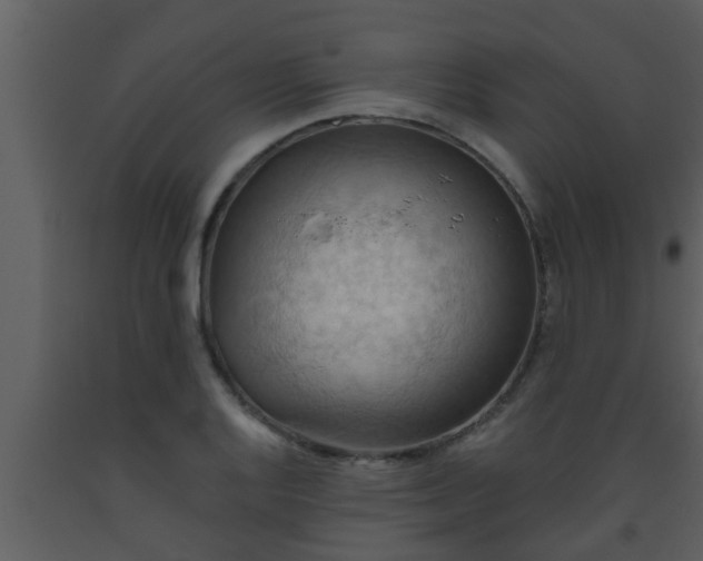 X0000093521128200710191327