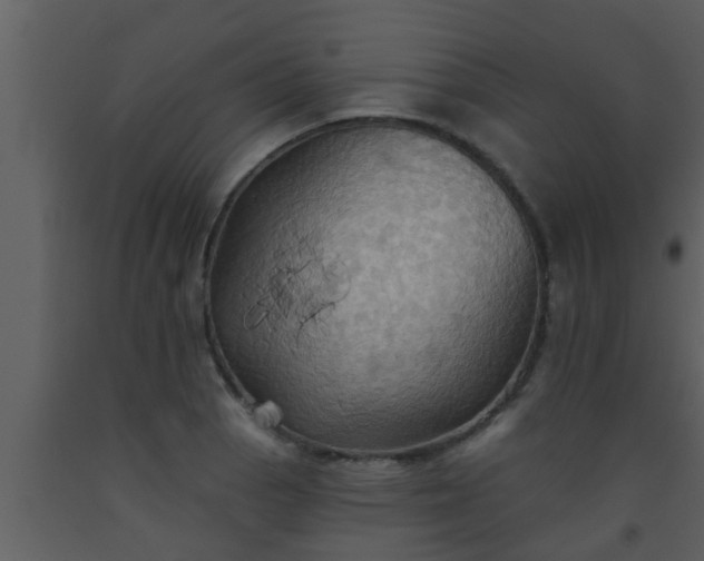 X0000093521129200710191327