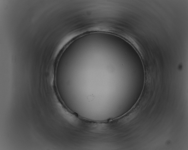 X0000093521131200710191327