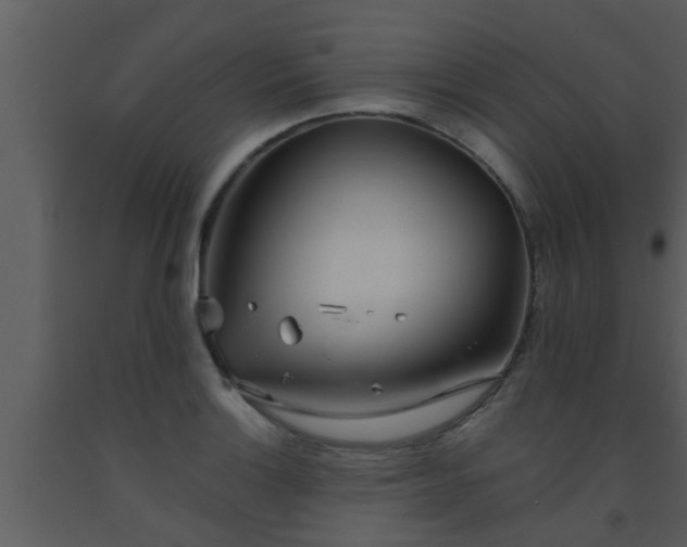 X0000093521132200710191327