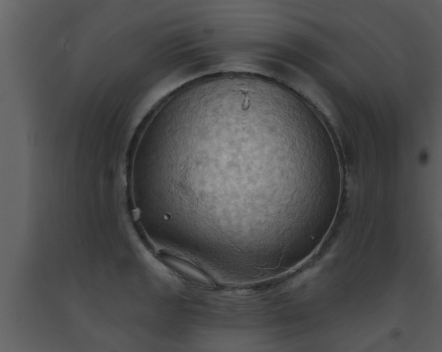 X0000093521133200710191327