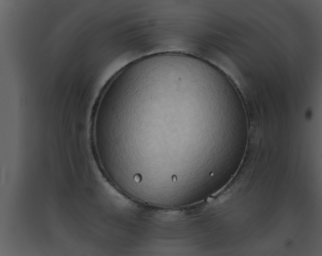 X0000093521135200710191327