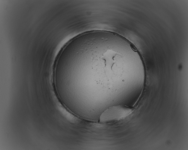X0000093521136200710191327