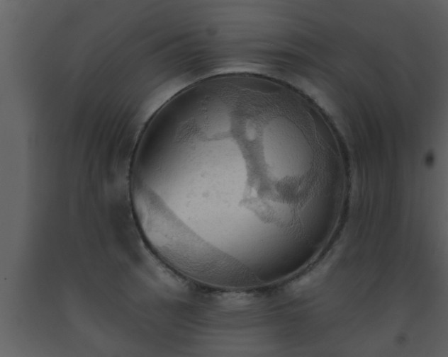 X0000093521137200710191327