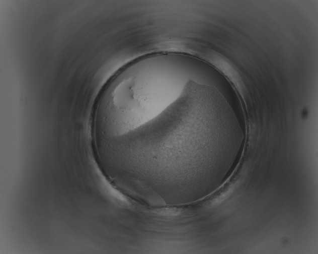 X0000093521141200710191327