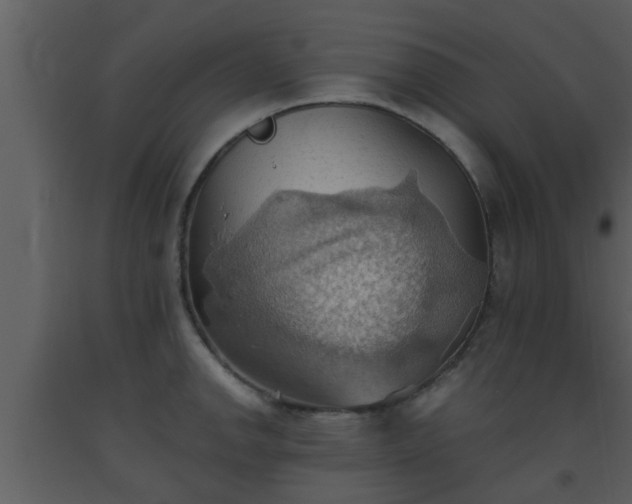 X0000093521142200710191327
