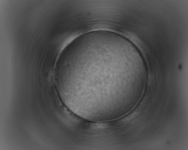 X0000093521145200710191327