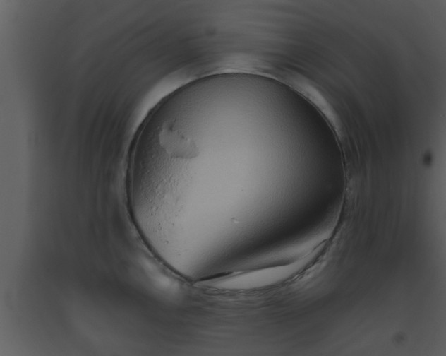 X0000093521146200710191327
