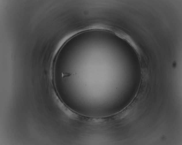 X0000093521148200710191327