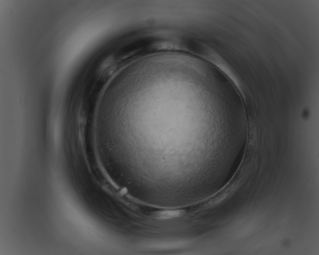 X0000093521151200710191327