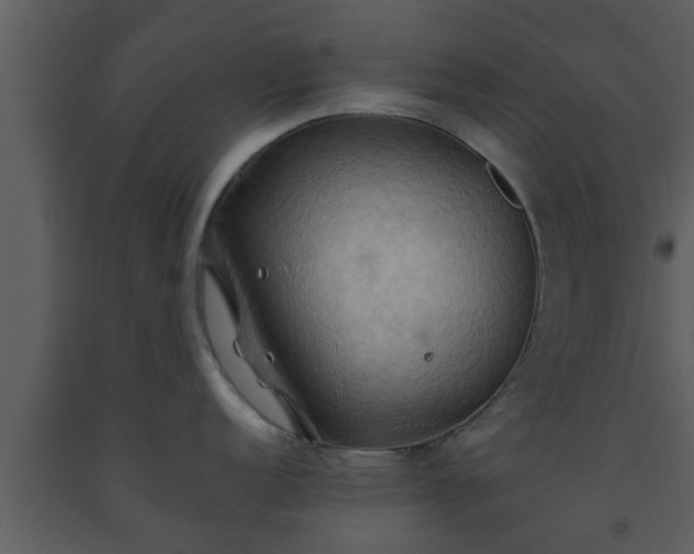 X0000093521152200710191327