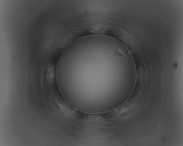 X0000093521154200710191326