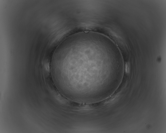 X0000093521155200710191326