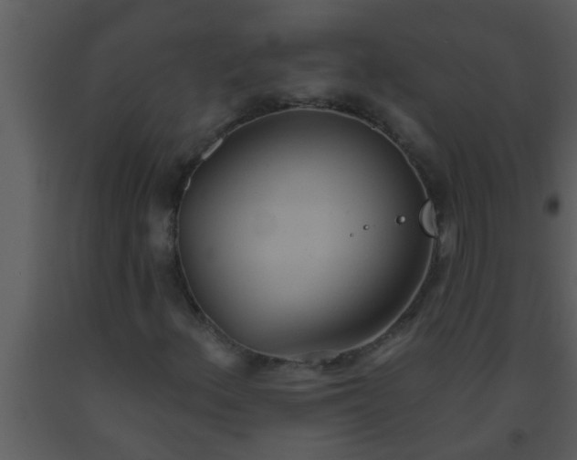 X0000093521156200710191326
