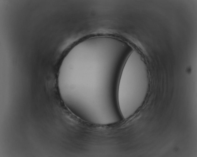X0000093521160200710191326