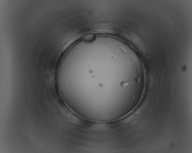X0000093521162200710191326