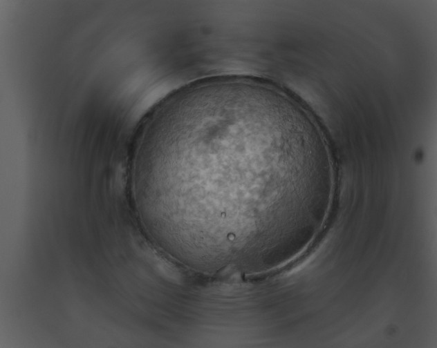 X0000093521163200710191326