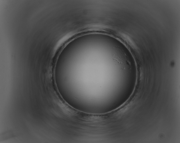 X0000093521164200710191326