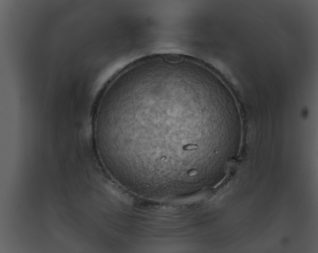 X0000093521167200710191326