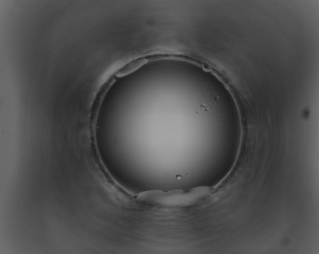 X0000093521168200710191326