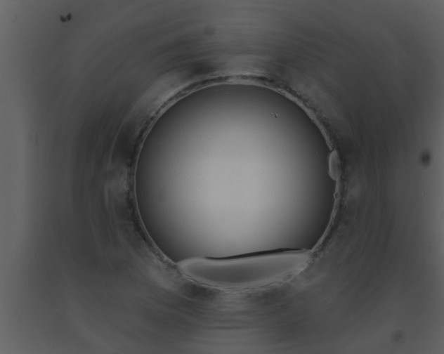 X0000093521169200710191326