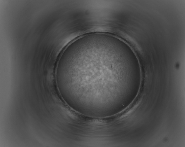 X0000093521170200710191326
