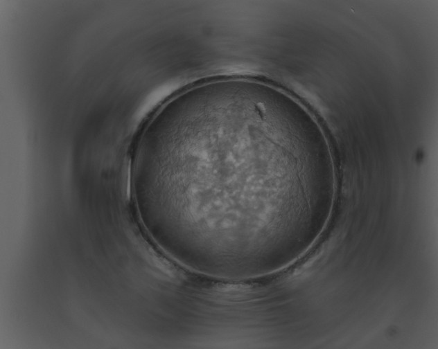 X0000093521171200710191326
