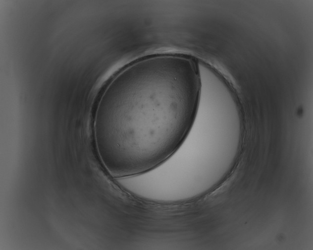 X0000093521173200710191326