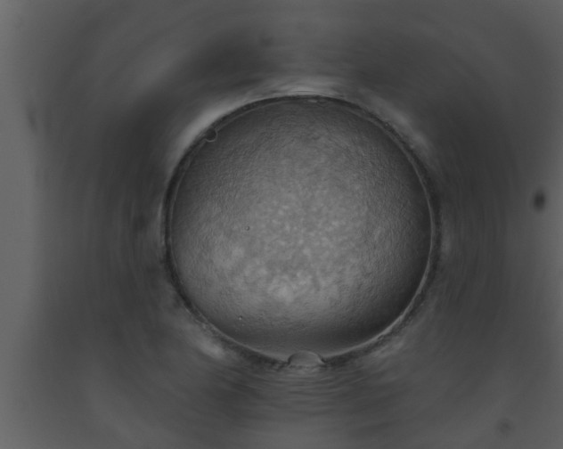 X0000093521174200710191326