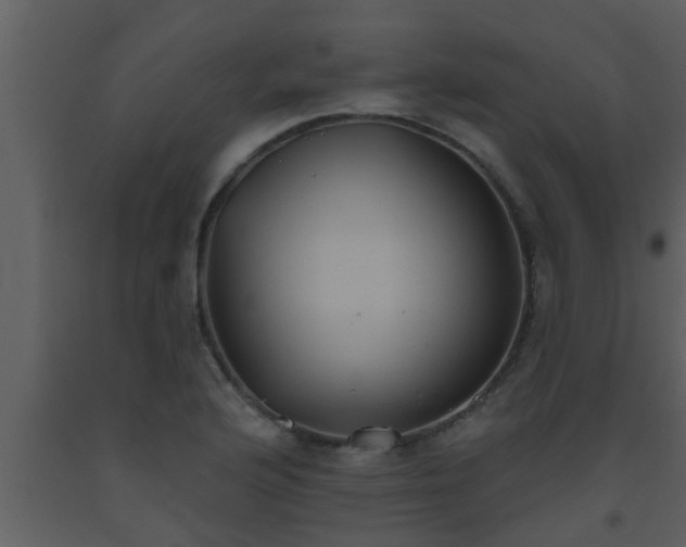 X0000093521176200710191326