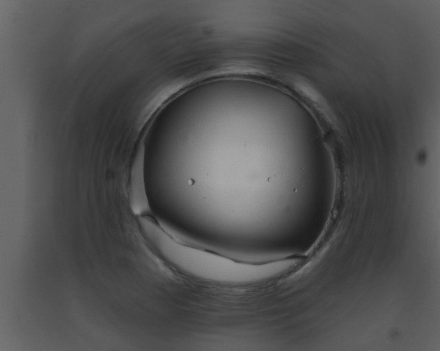 X0000093521177200710191326
