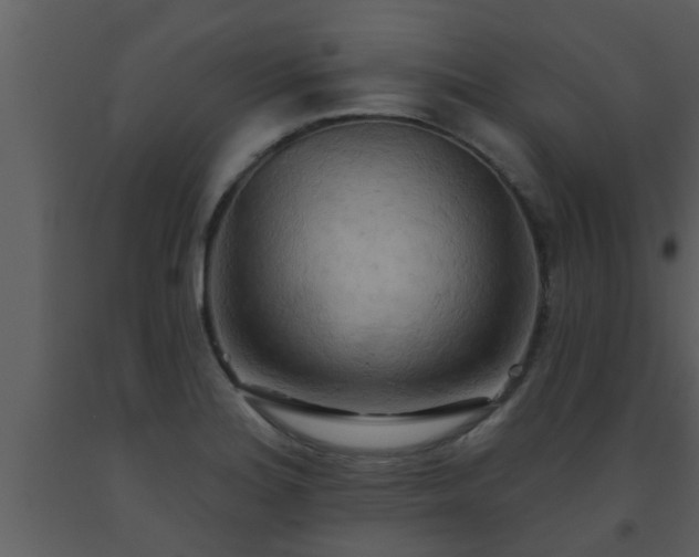 X0000093521180200710191326