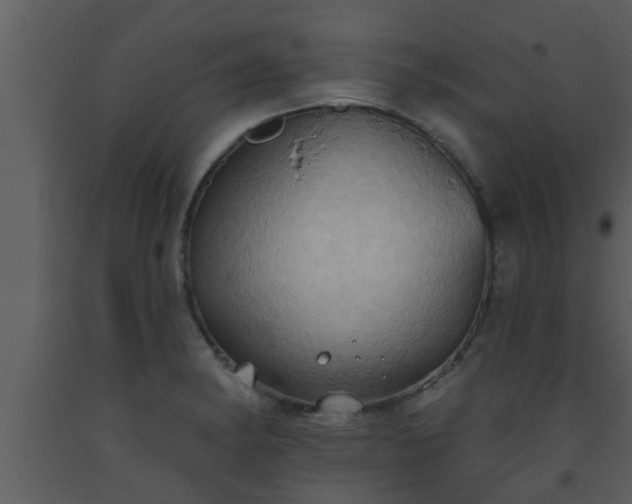 X0000093521182200710191326