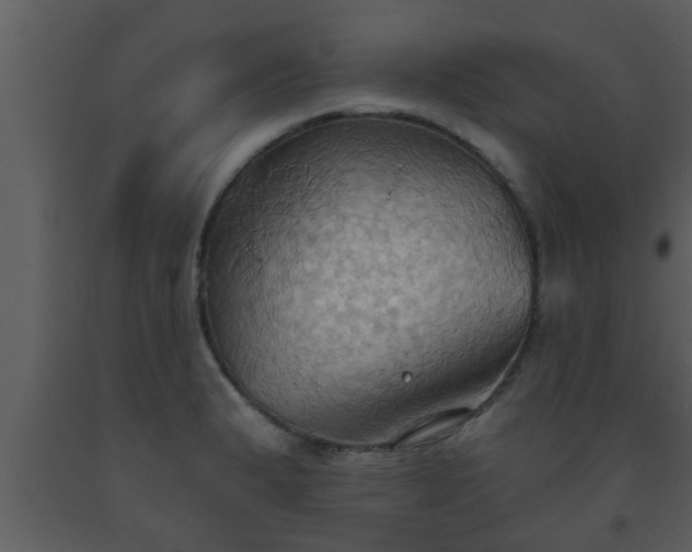 X0000093521183200710191326