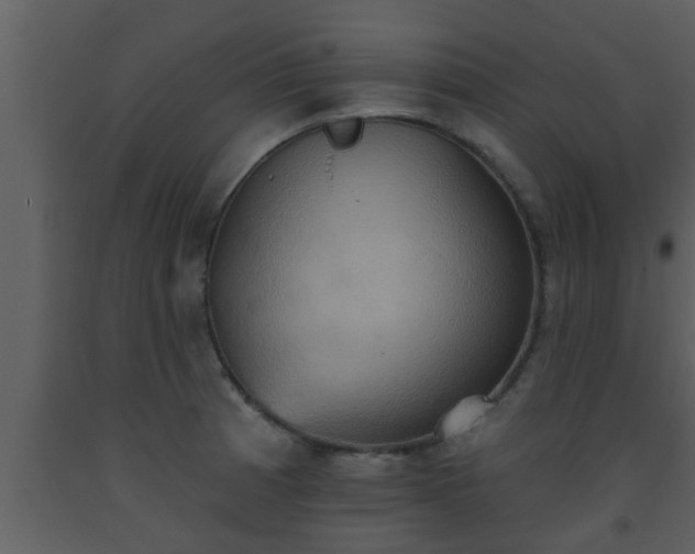 X0000093521185200710191326