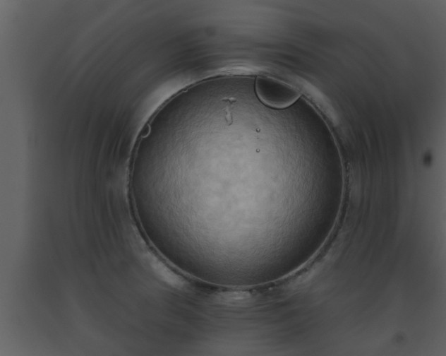 X0000093521186200710191326