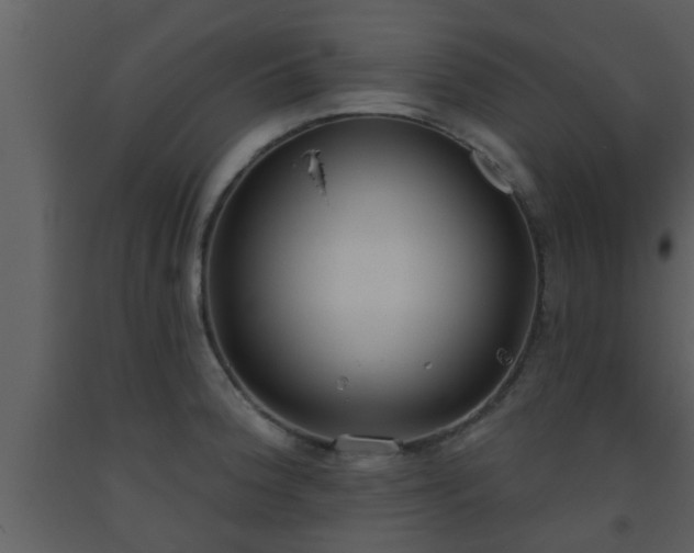 X0000093521188200710191326
