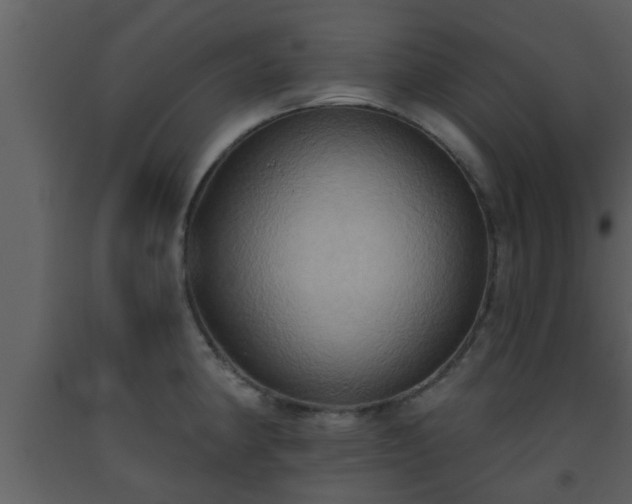 X0000093521190200710191326