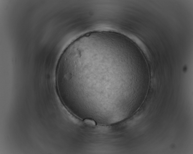 X0000093521191200710191326