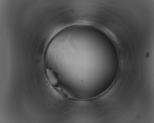 X0000093521192200710191326