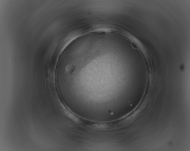X0000093521194200710191326
