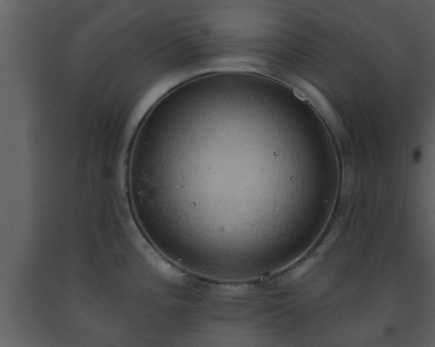 X0000093521196200710191325