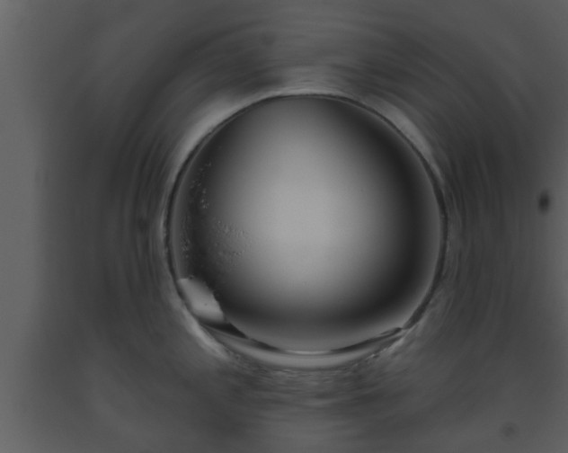 X0000093521197200710191325