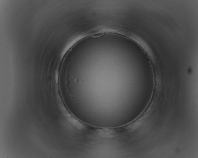 X0000093521198200710191325