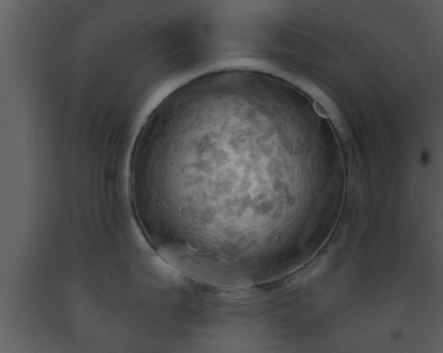 X0000093521199200710191325