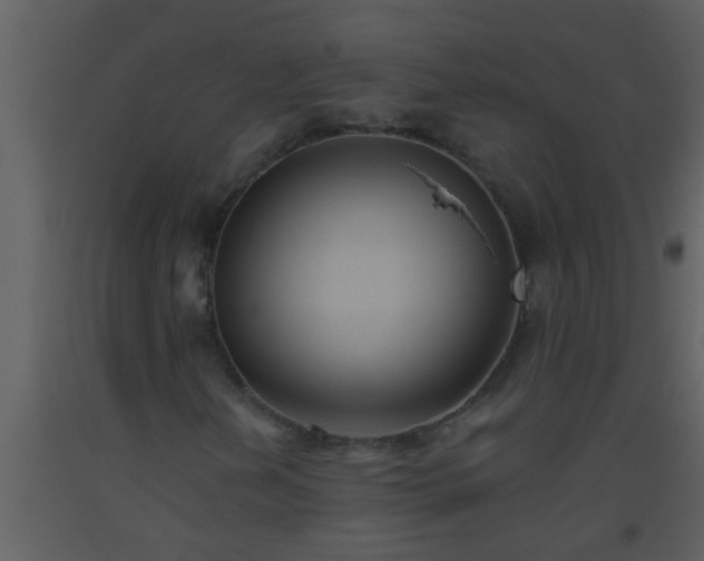 X0000093521202200710191325