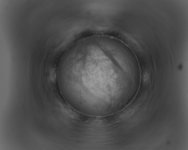 X0000093521204200710191325