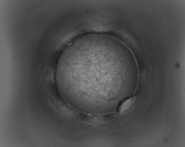 X0000093521205200710191325