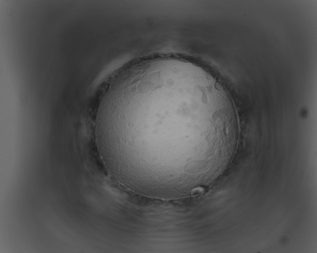 X0000093521207200710191325