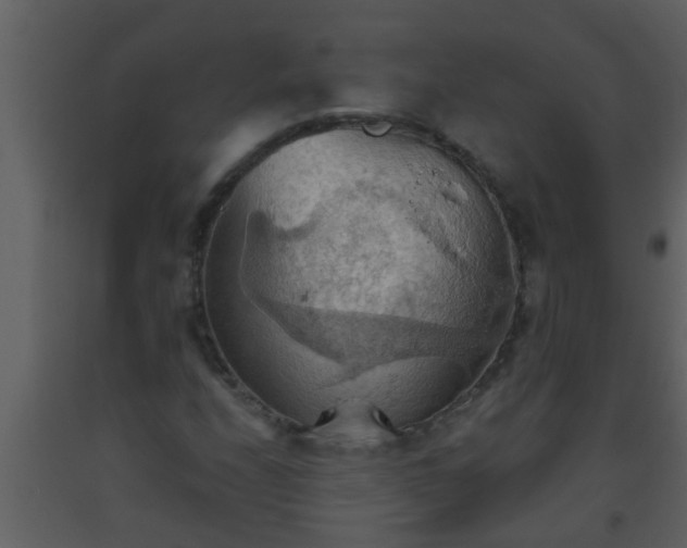 X0000093521208200710191325